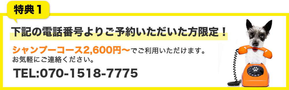 Dogsalon ズートピア シャンプー トリミングの料金